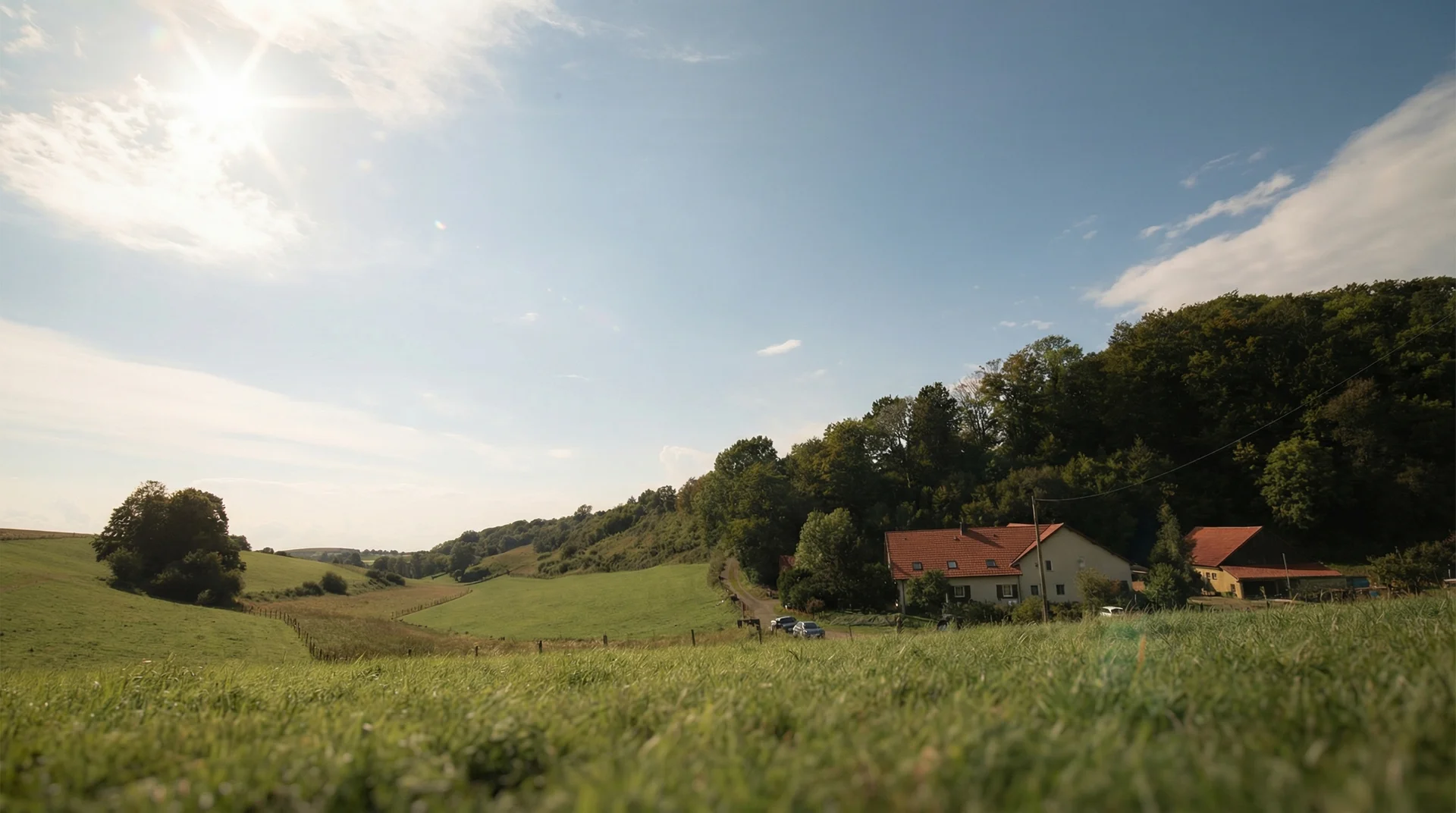 Pilzhof Dahler Heide Hero Bild